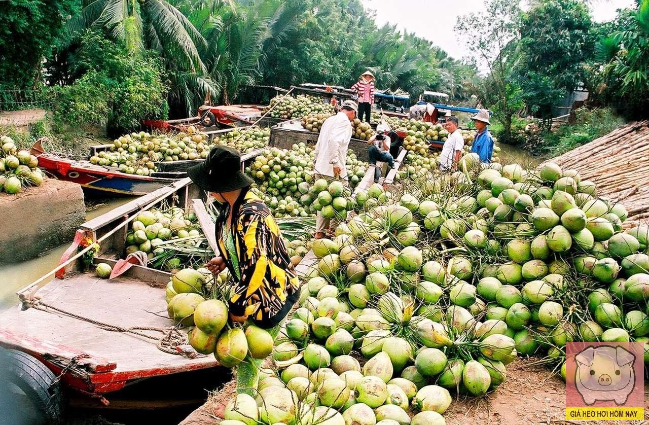 Ngành chế biến dừa