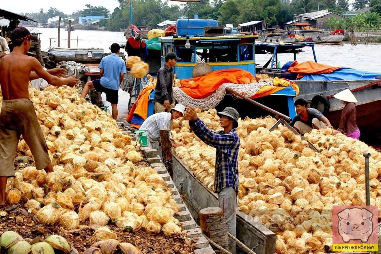 Ngành dừa Việt Nam