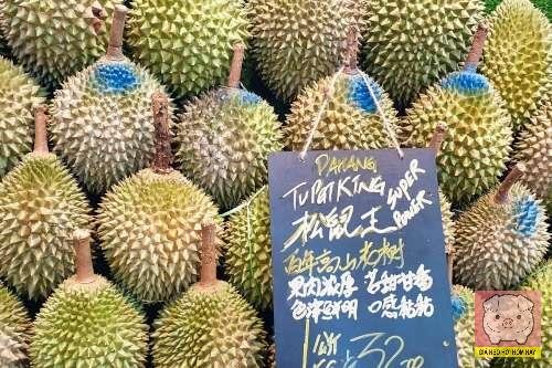 Sầu riêng Tupai King là gì, sầu riêng Tupai King, giá sầu riêng Tupai King, sầu riêng Malaysia