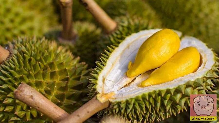 Ngành sầu riêng Việt Nam, xuất khẩu sầu riêng, mã số vùng trồng, tiêu chuẩn Trung Quốc, phát triển bền vững
