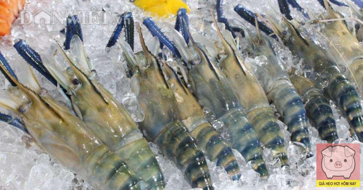 Xuất khẩu cà phê, xuất khẩu tôm, xuất khẩu nông sản, giá cà phê, giá nông sản, thị trường nông sản, xuất khẩu thủy sản