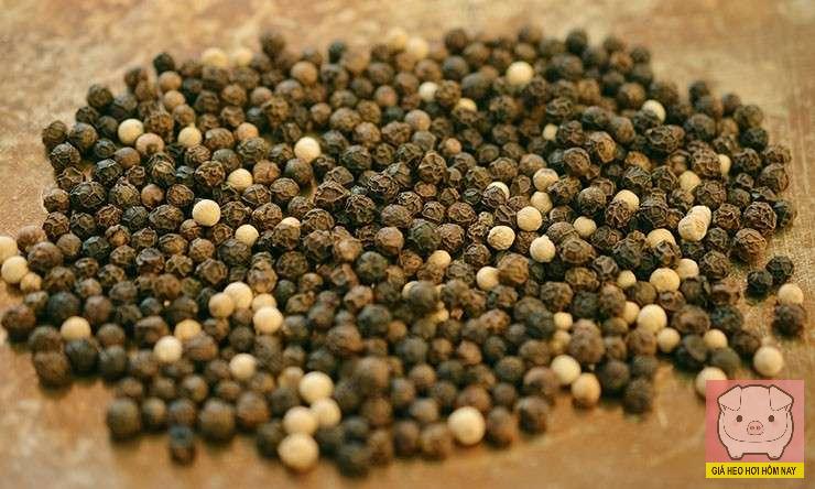 giá tiêu hôm nay 28/10, giá tiêu 145.000 đồng/kg, giá tiêu trong nước, giá tiêu thế giới, xuất khẩu hồ tiêu Việt Nam