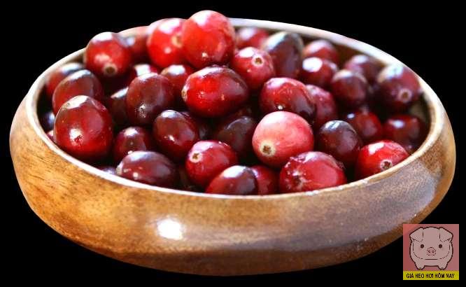 Dự báo giá cà phê 26/10/2025, giá cà phê hôm nay, giá cà phê 26/10/2025, giá cà phê thế giới, giá cà phê trong nước, Robusta, Arabica