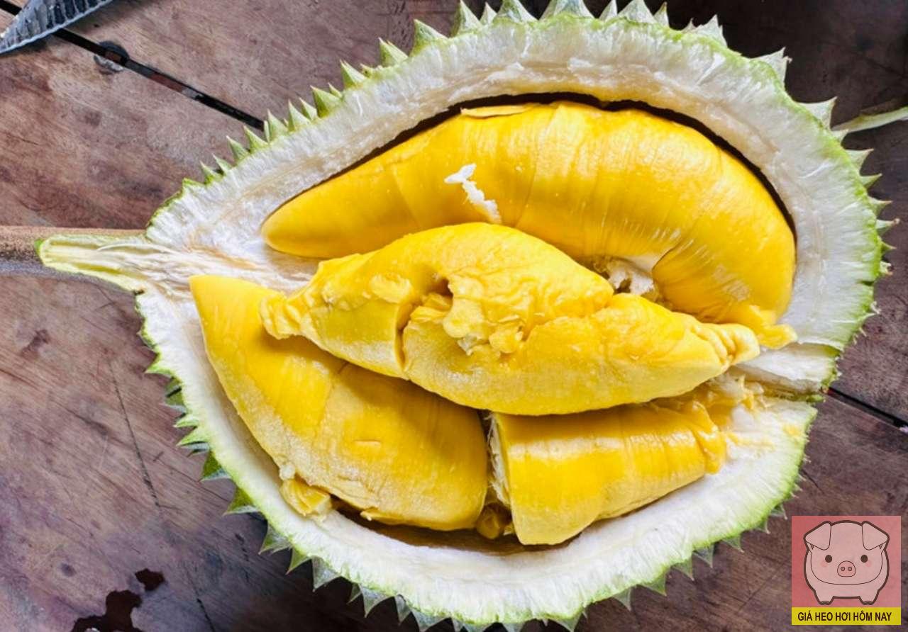 giá sầu riêng hôm nay, giá sầu riêng 28/10/2025, giá sầu riêng Thái, giá sầu riêng Ri6, giá sầu riêng xuất khẩu