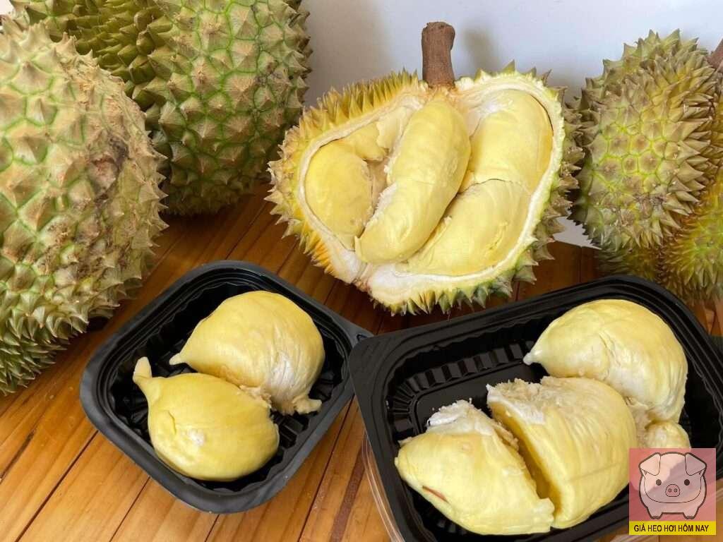 giá sầu riêng hôm nay, giá sầu riêng 28/10/2025, giá sầu riêng Thái, giá sầu riêng Ri6, giá sầu riêng xuất khẩu