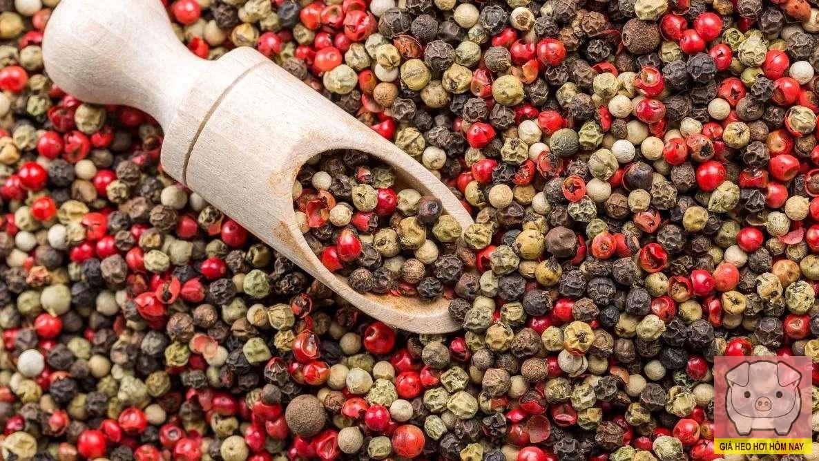 giá tiêu hôm nay, giá tiêu 30/10, giá tiêu trong nước, giá tiêu thế giới, Đắk Lắk, Đắk Nông, Gia Lai, Indonesia, xuất nhập khẩu hồ tiêu