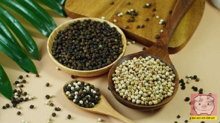 giá tiêu hôm nay 26/10/2025, giá tiêu, giá tiêu trong nước, giá tiêu xuất khẩu, thị trường hồ tiêu Việt Nam, xuất khẩu hồ tiêu, kim ngạch hồ tiêu