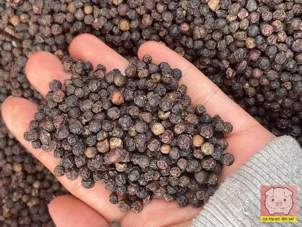 giá tiêu hôm nay 26/10/2025, giá tiêu, giá tiêu trong nước, giá tiêu xuất khẩu, thị trường hồ tiêu Việt Nam, xuất khẩu hồ tiêu, kim ngạch hồ tiêu