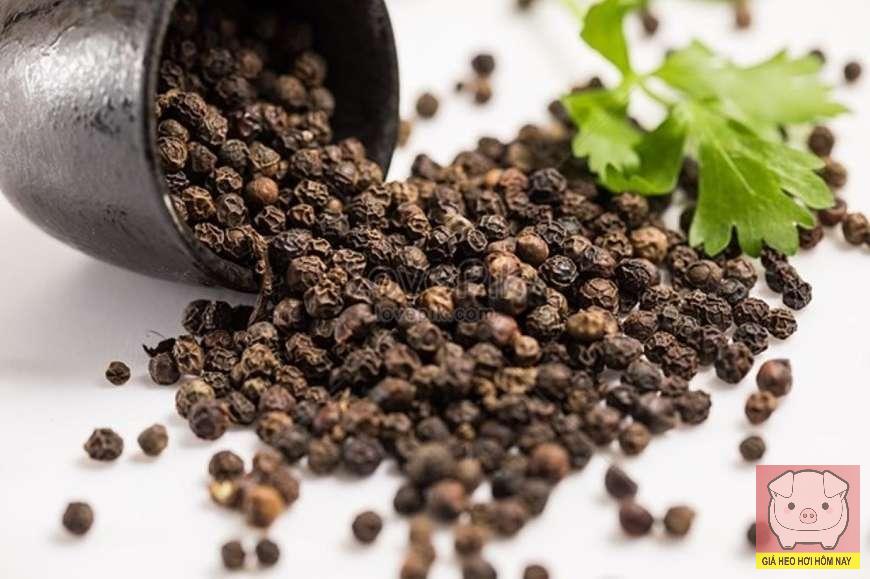 dự báo giá tiêu 27/10/2025, giá tiêu hôm nay, giá hồ tiêu trong nước, xuất khẩu hồ tiêu Việt Nam, thị trường hồ tiêu