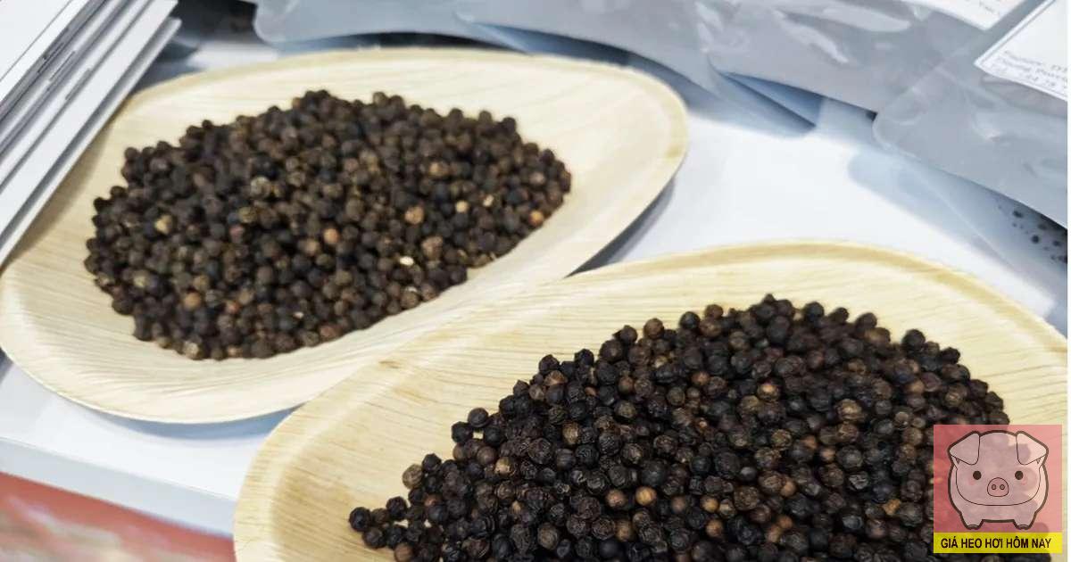 dự báo giá tiêu 27/10/2025, giá tiêu hôm nay, giá hồ tiêu trong nước, xuất khẩu hồ tiêu Việt Nam, thị trường hồ tiêu