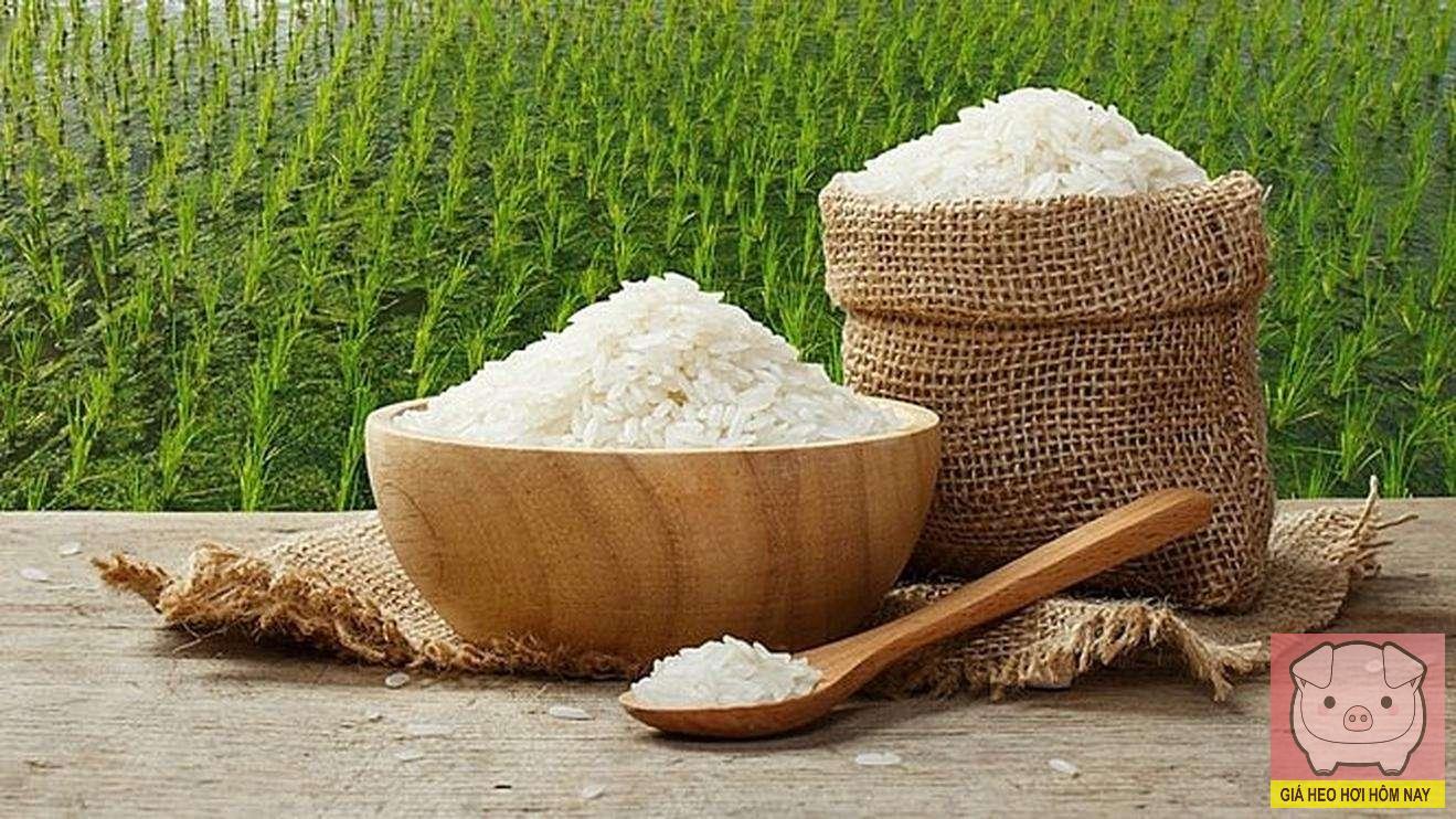 giá lúa gạo hôm nay, giá gạo 27/10, giá lúa Đồng bằng sông Cửu Long, giá gạo xuất khẩu, thị trường gạo Việt Nam