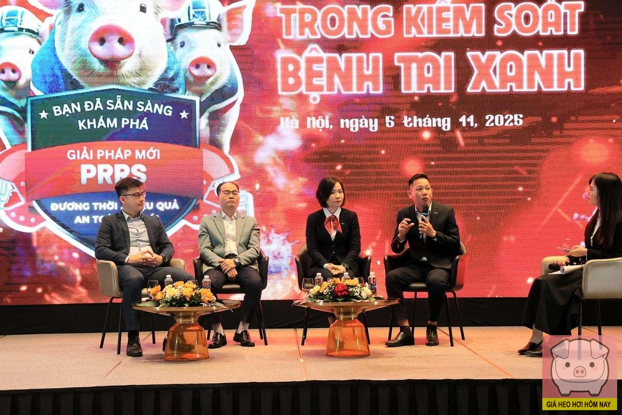 Vaccine Prevacent PRRS: Bảo vệ đàn heo trước dịch tai xanh