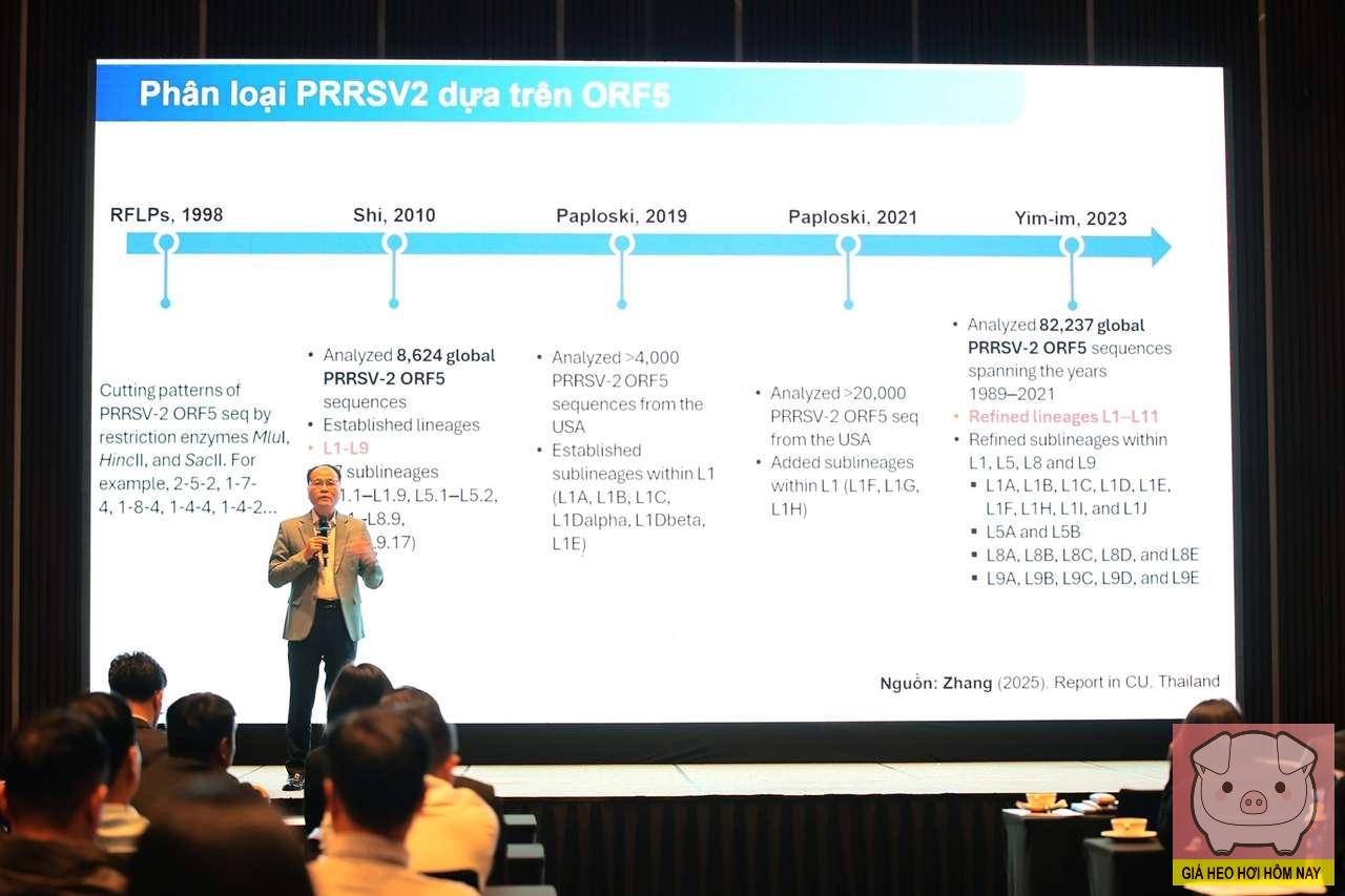 Vaccine Prevacent PRRS: Bảo vệ đàn heo trước dịch tai xanh